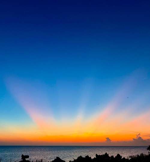 IMG-20251019-WA0008