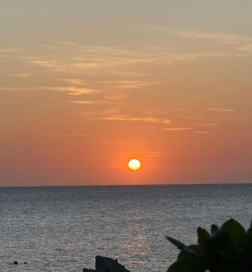 IMG-20251019-WA0013